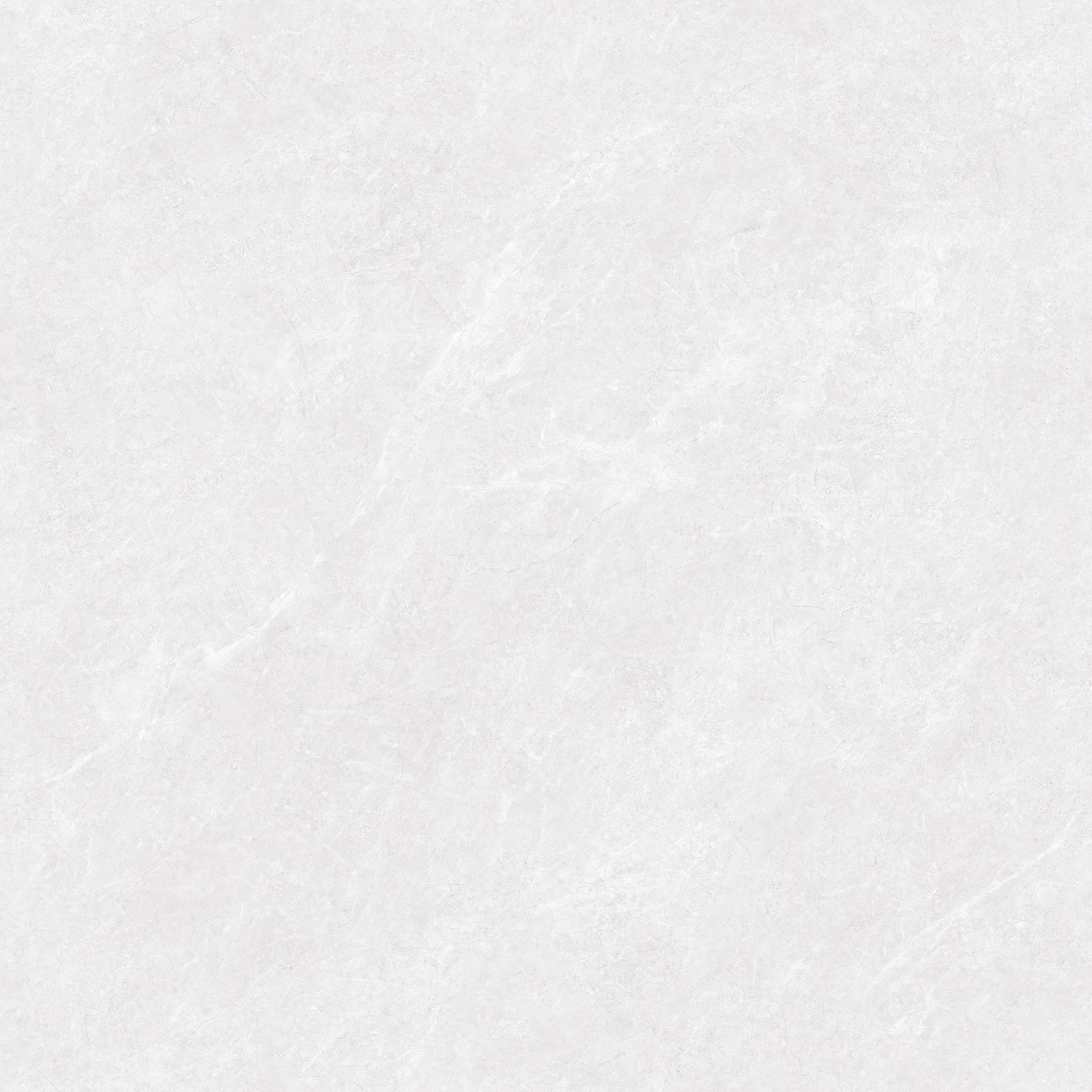 8FMB10736LPM-1.jpg